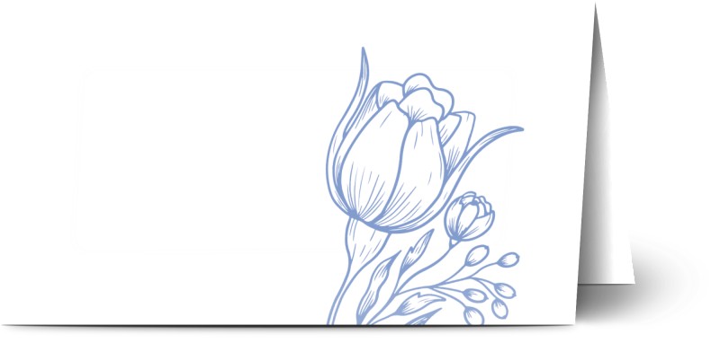 item preview