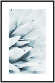 item preview