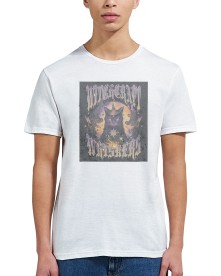 item preview