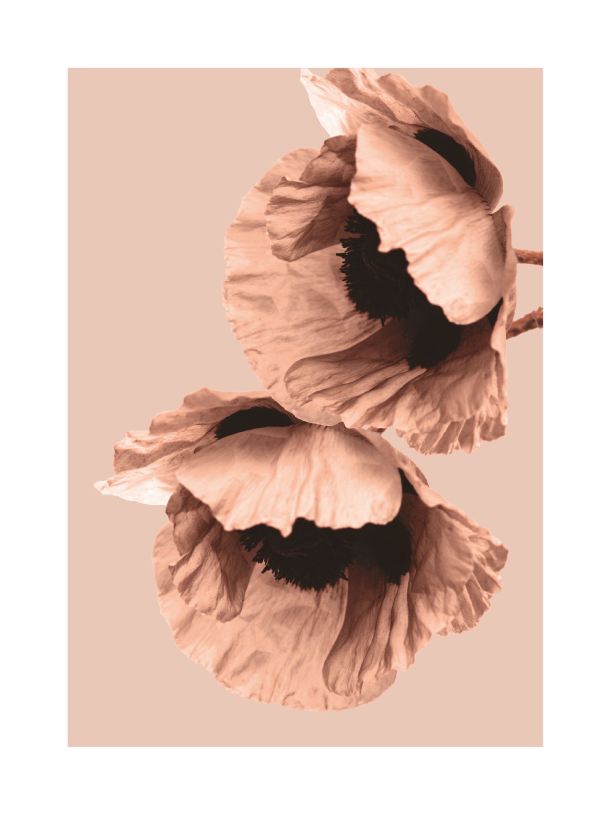 item preview