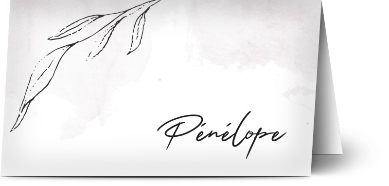 item preview
