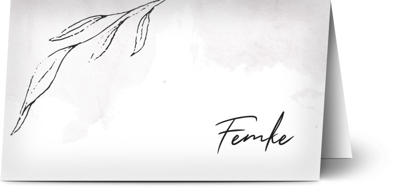 item preview