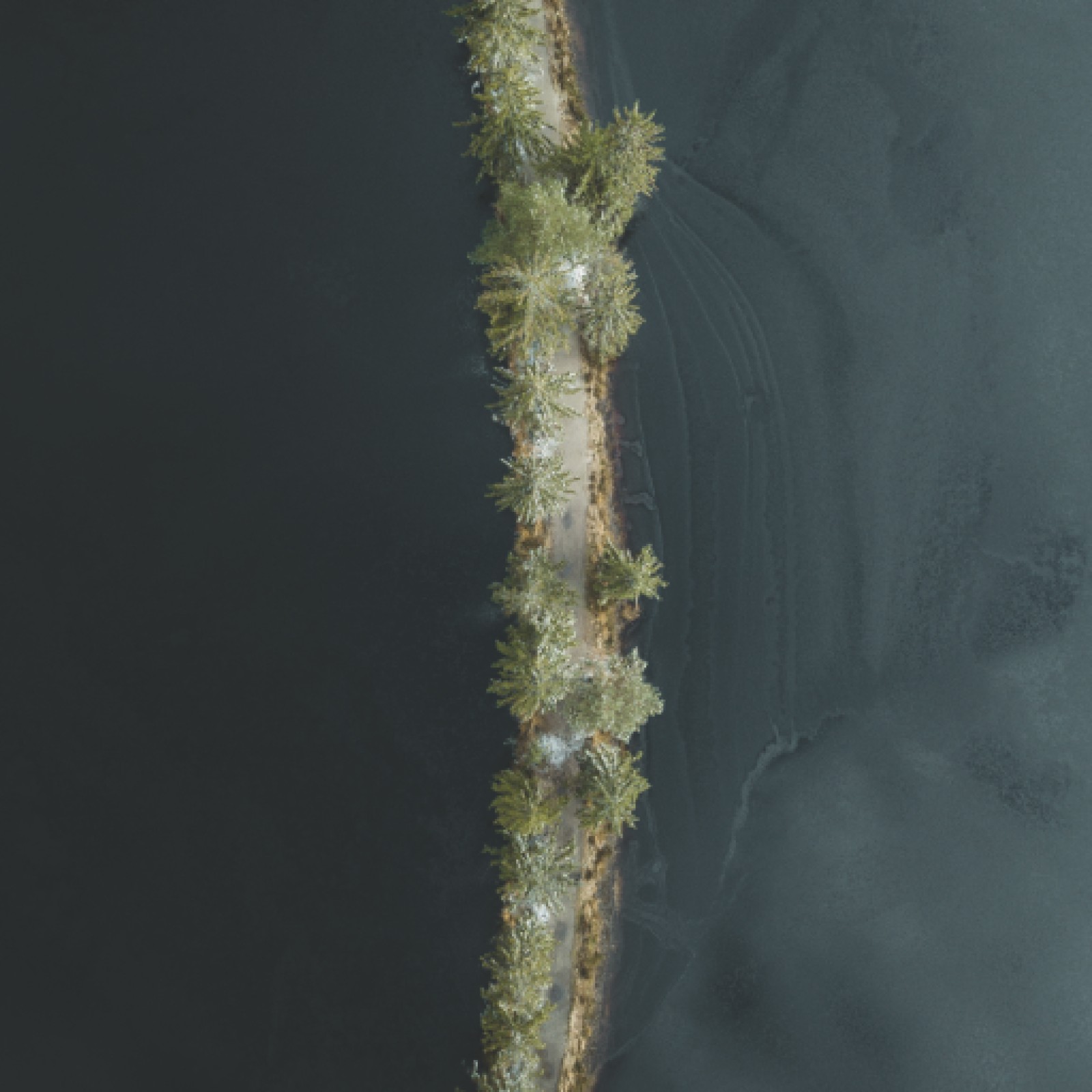 item preview