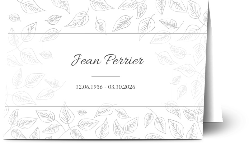 item preview