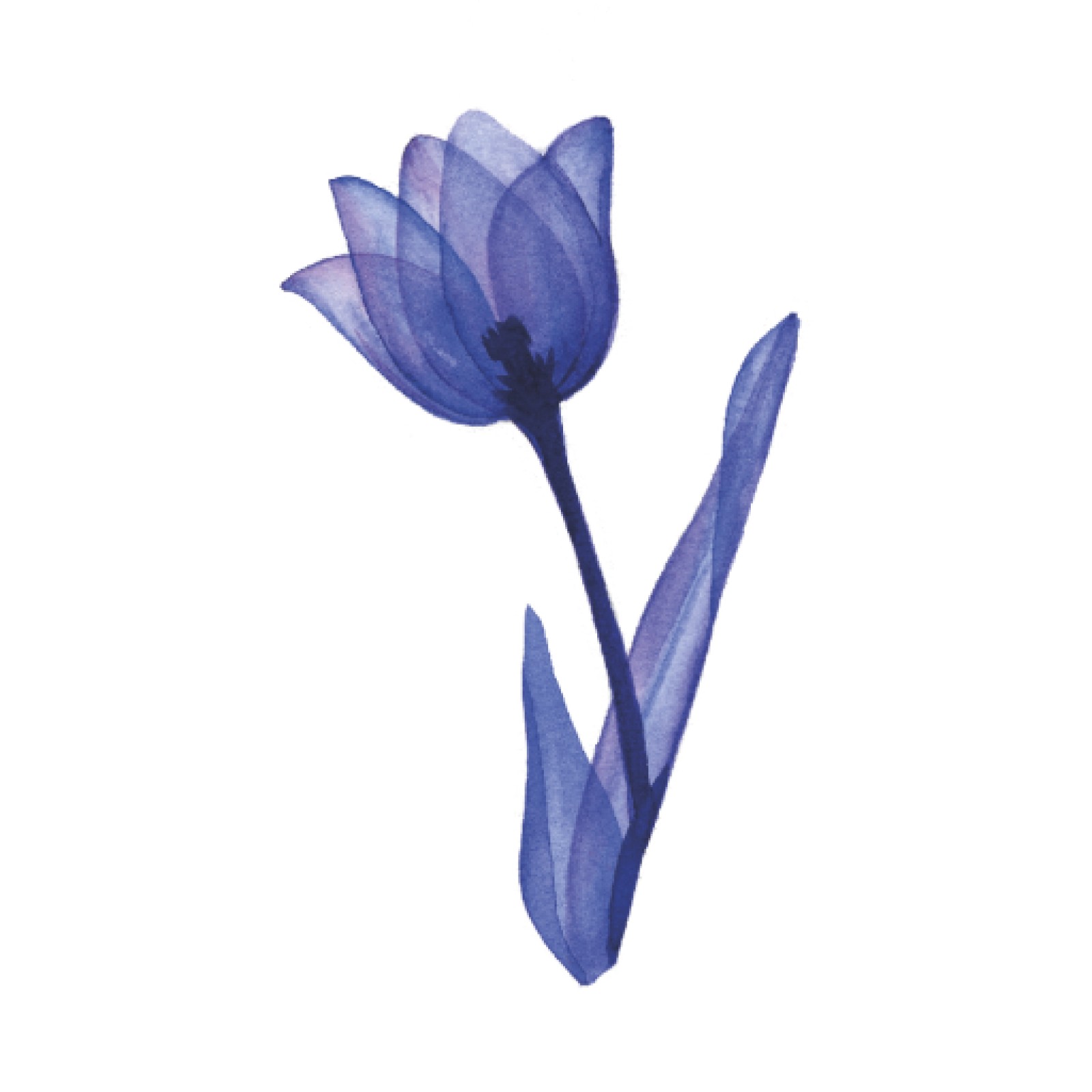 item preview