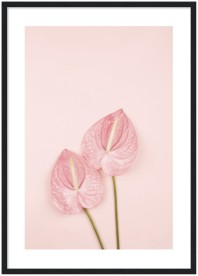 item preview