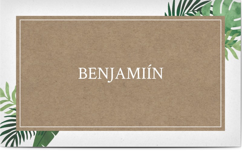 item preview