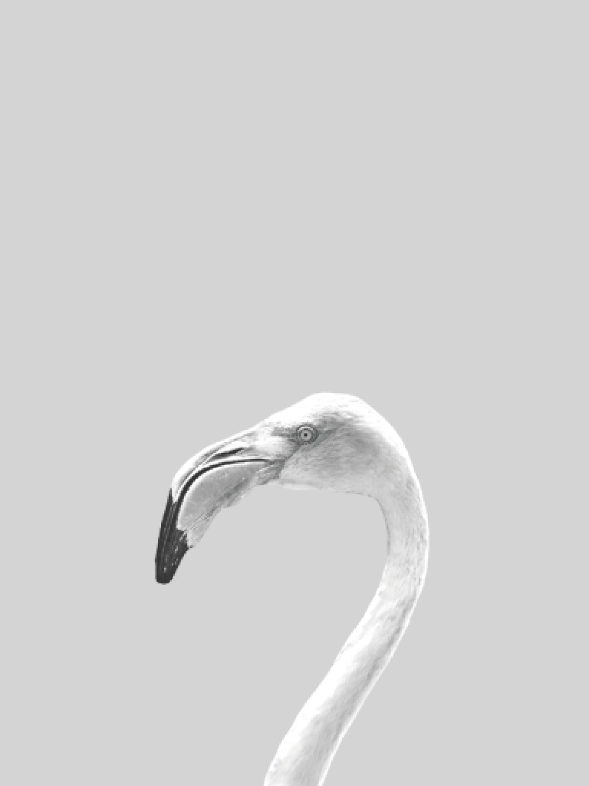 item preview