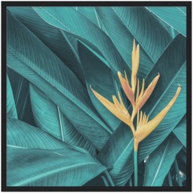 item preview