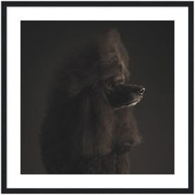 item preview