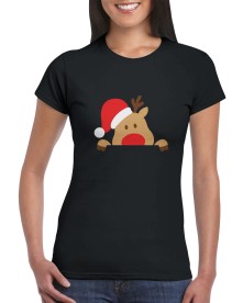 item preview