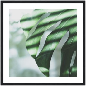 item preview