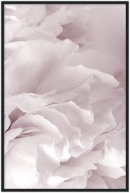 item preview