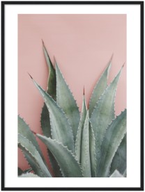 item preview