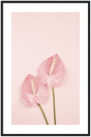 item preview