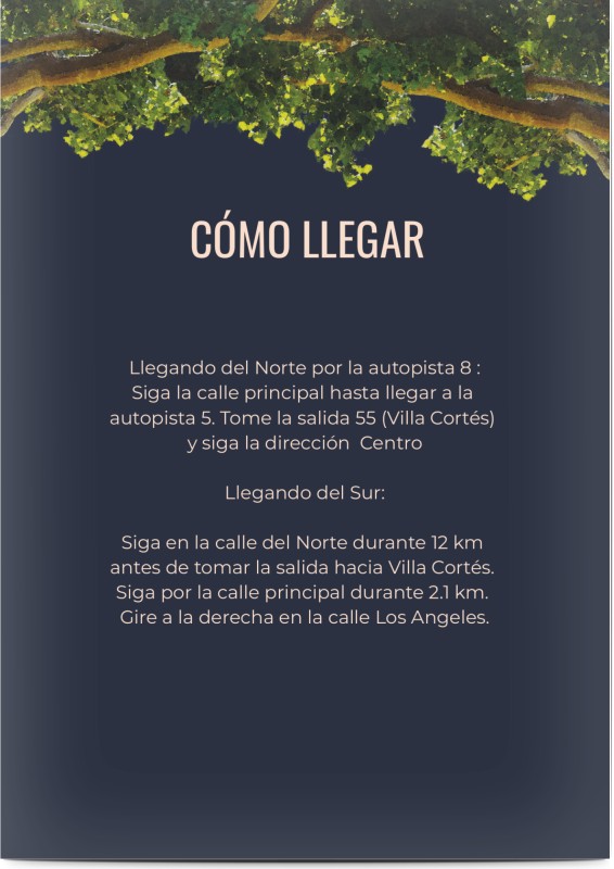 item preview