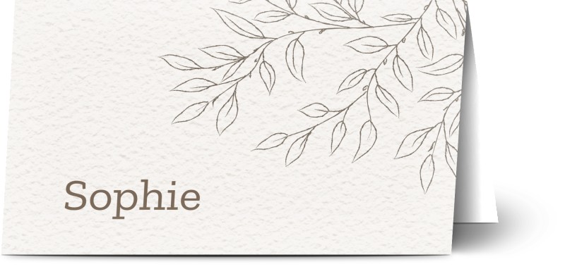 item preview