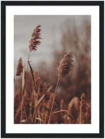 item preview