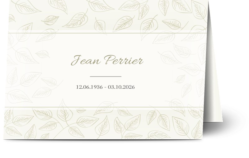 item preview