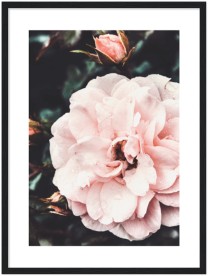 item preview