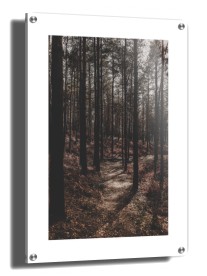 item preview