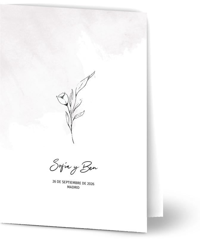 item preview