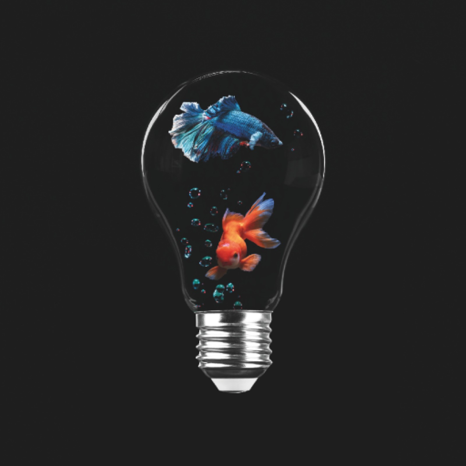 item preview