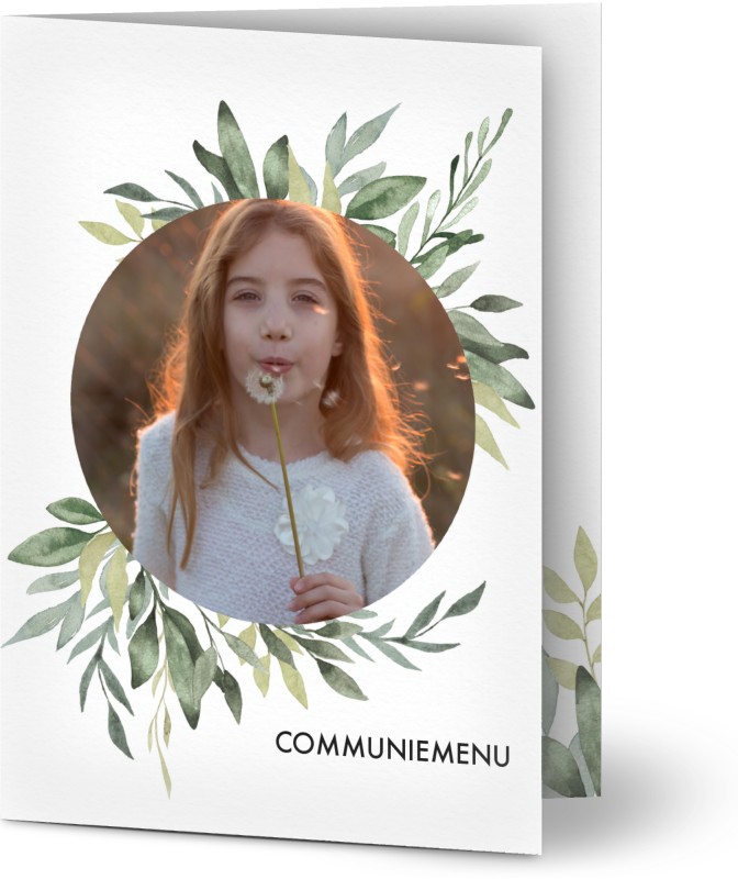 item preview