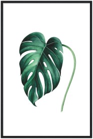 item preview