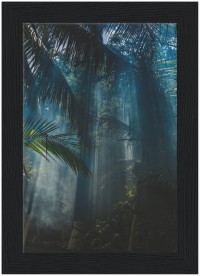 item preview