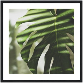 item preview