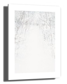 item preview