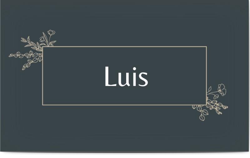 item preview