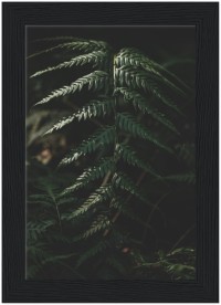 item preview
