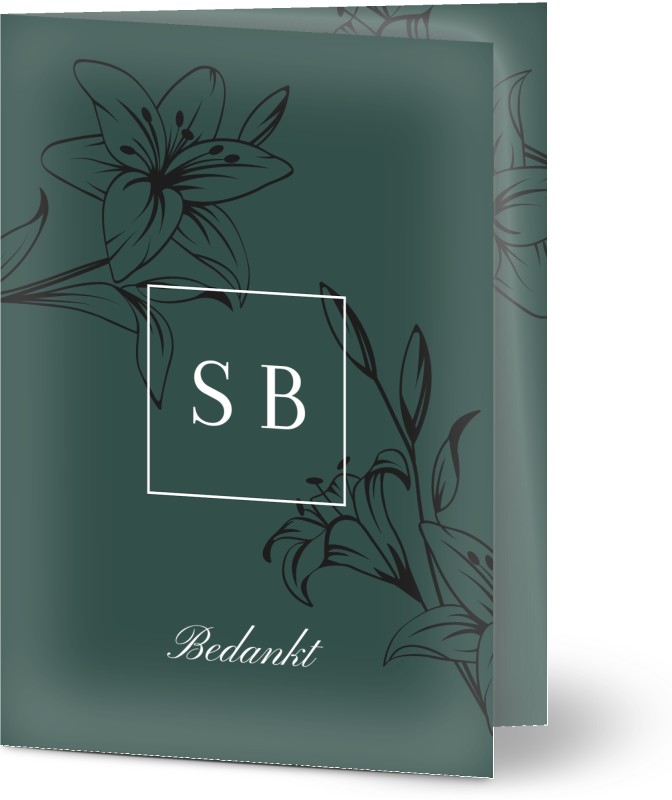 item preview