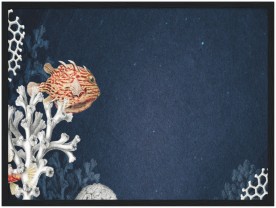 item preview