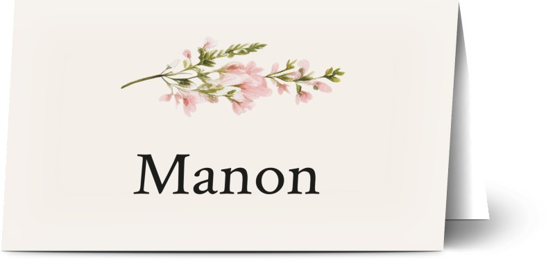 item preview