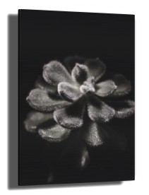item preview