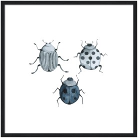 item preview