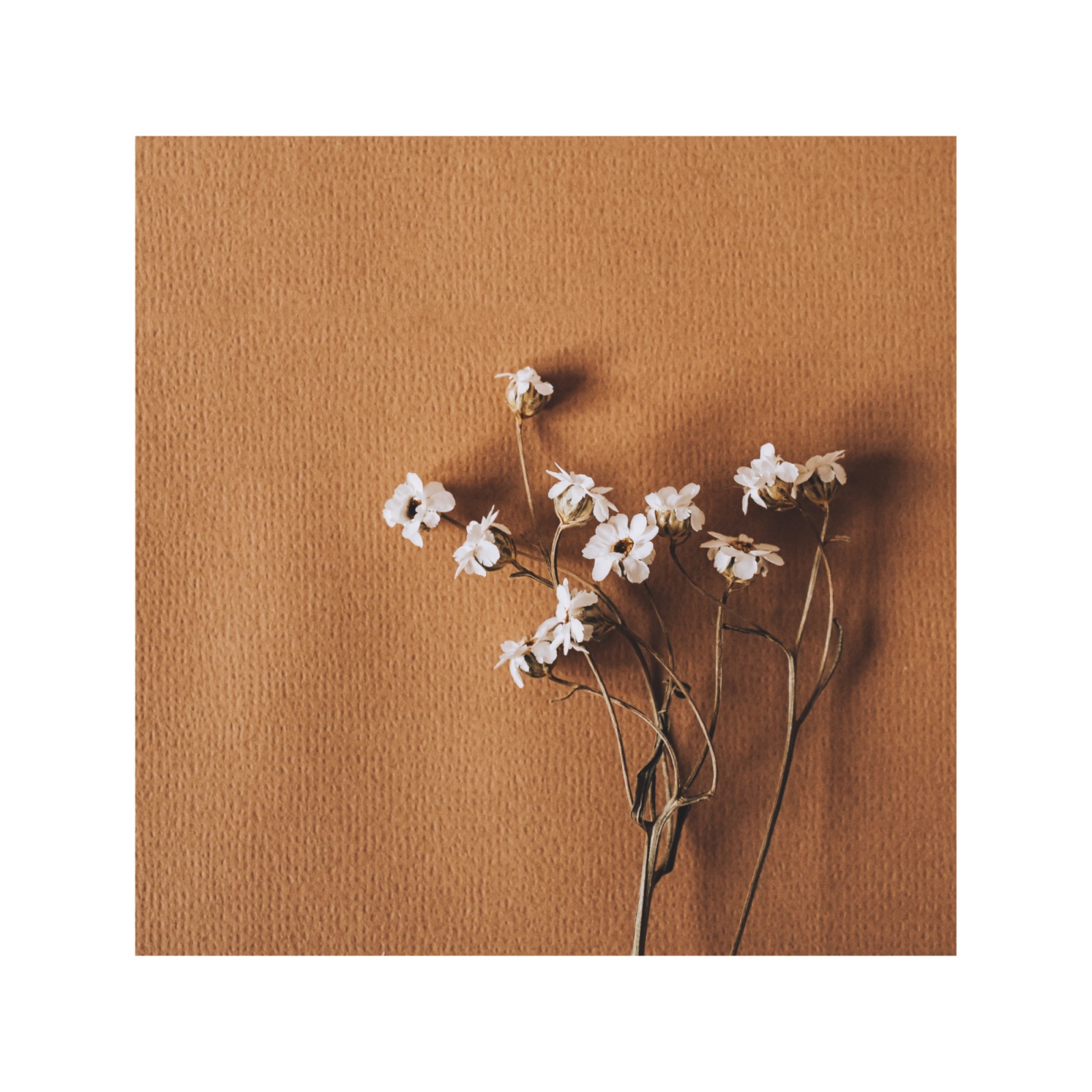 item preview