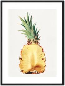 item preview