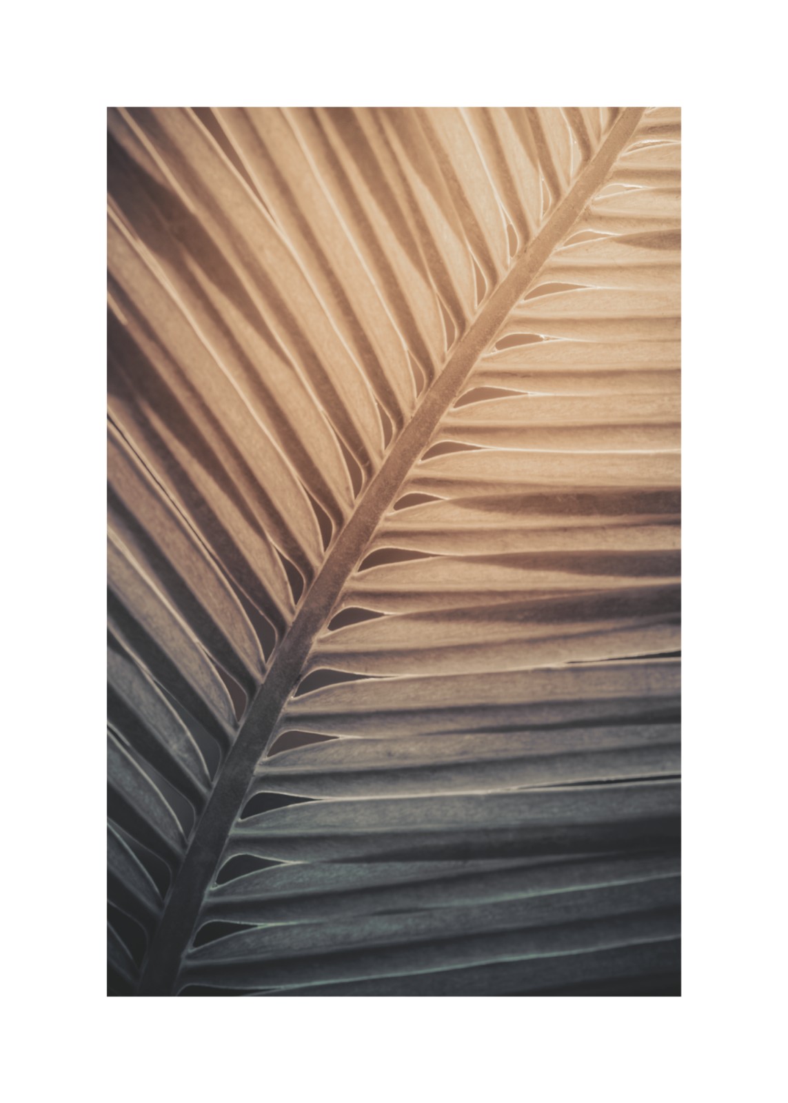 item preview