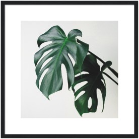 item preview