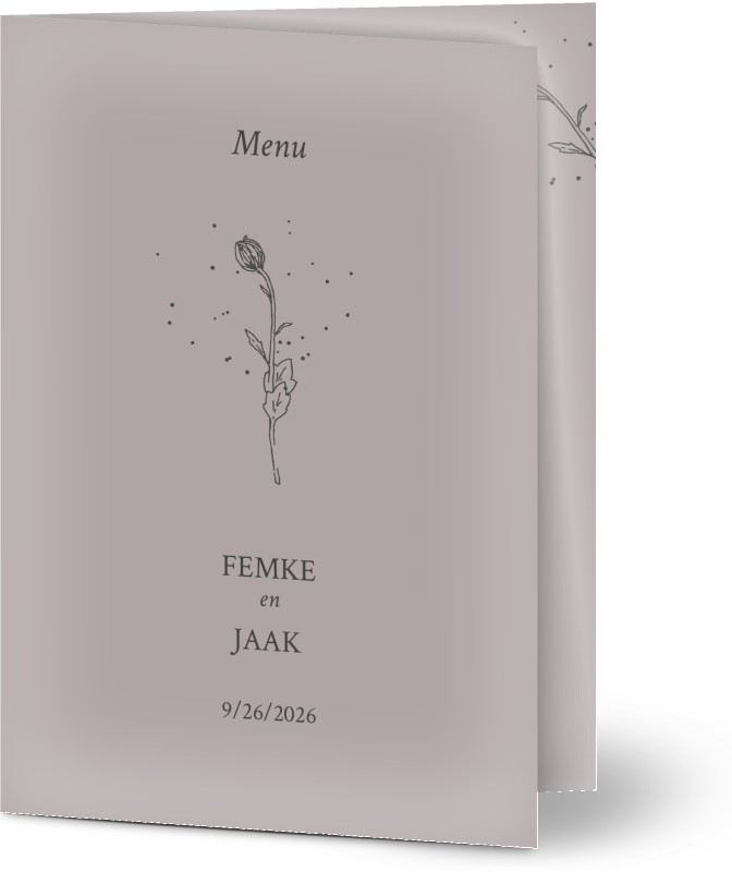 item preview