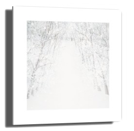 item preview