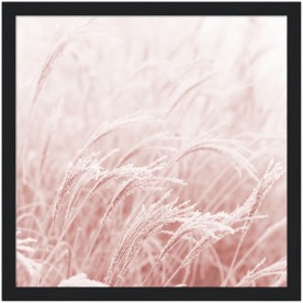 item preview