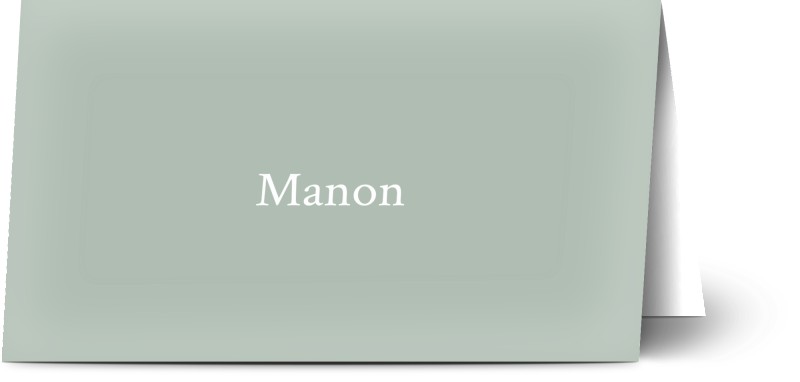 item preview