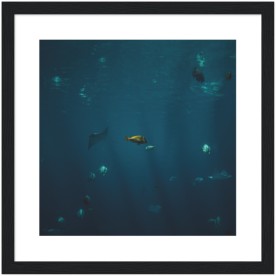 item preview
