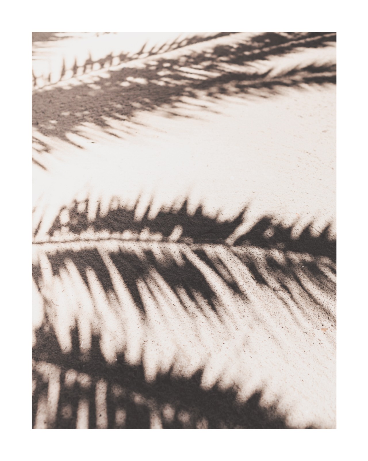 item preview