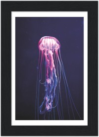 item preview